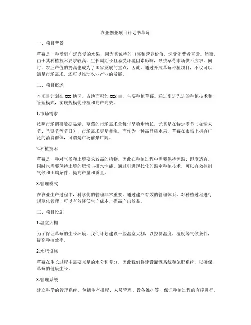 农业创业项目计划书草莓