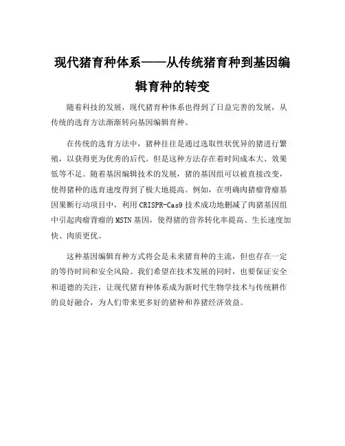 现代猪育种体系