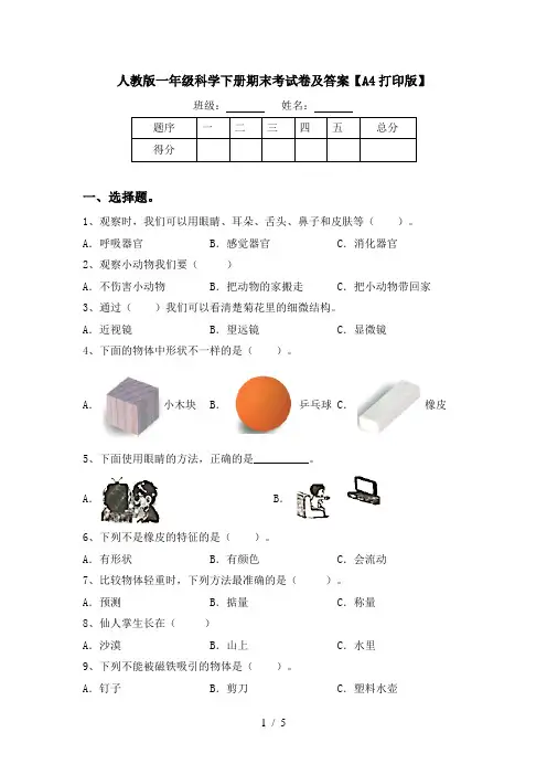 人教版一年级科学下册期末考试卷及答案【A4打印版】