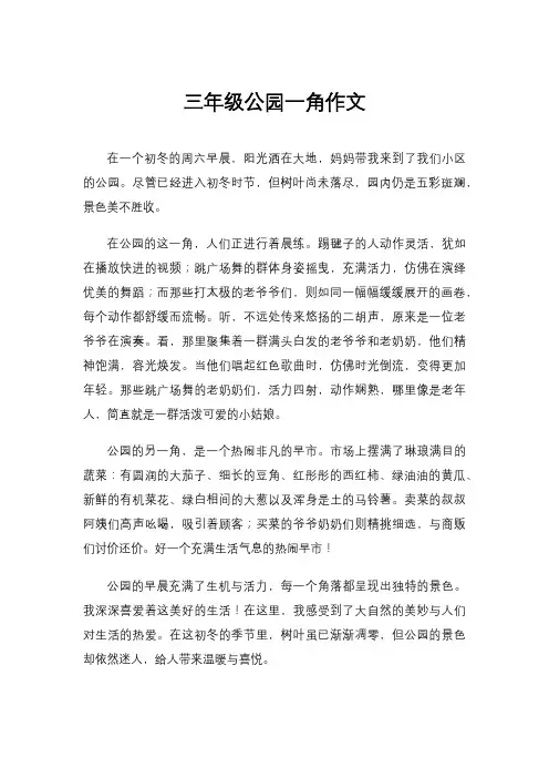 三年级公园一角作文