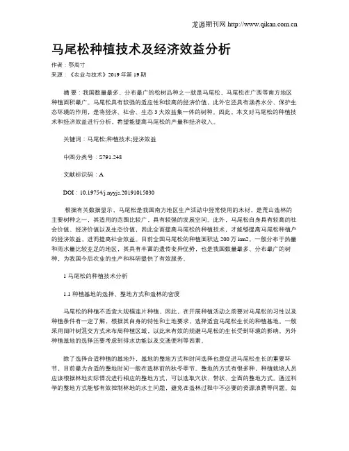 马尾松种植技术及经济效益分析