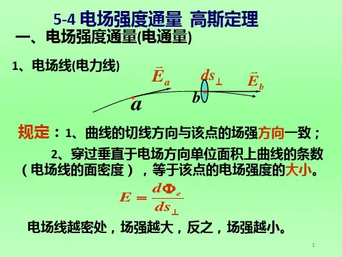 《高斯定理》PPT课件 (2)