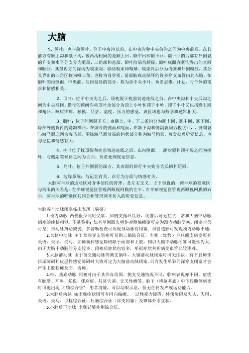 大脑与小脑
