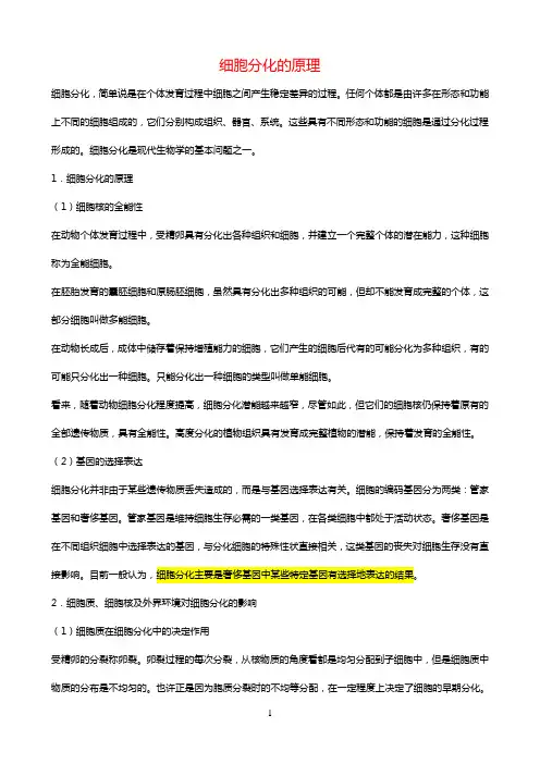 细胞分化的原理