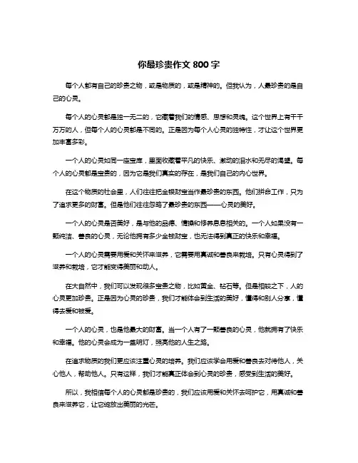 你最珍贵作文800字