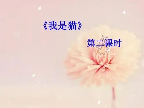 我是猫课件