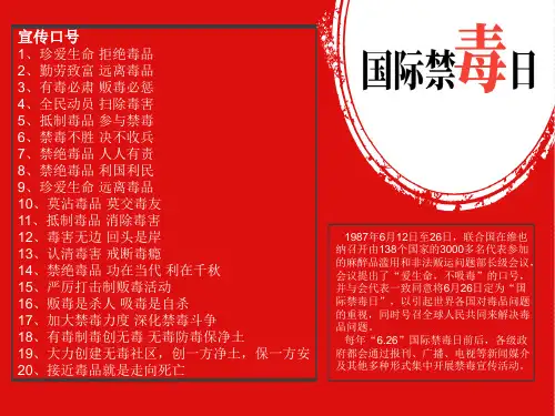 禁毒手抄报全国一等奖