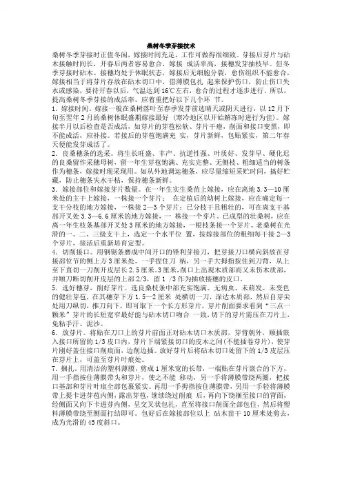桑树冬季芽接技术