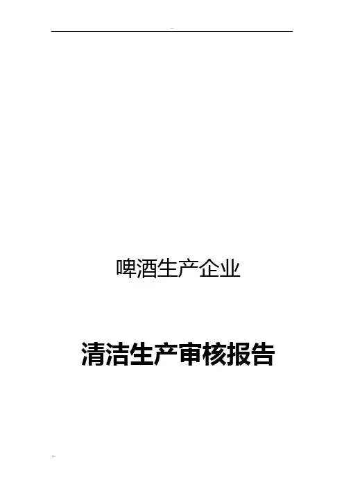 啤酒生产企业清洁生产审核报告