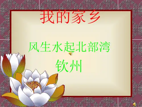我的家乡钦州