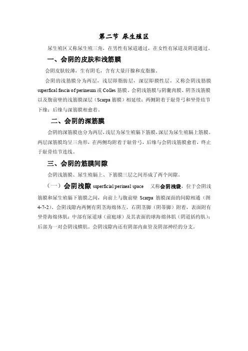 尿生殖区——精选推荐