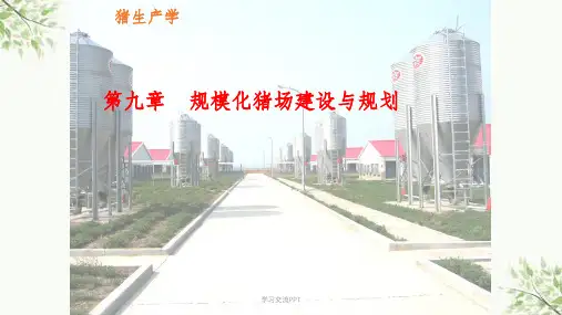 现代化养殖场的建设与规划课件