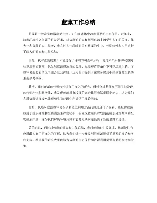 蓝藻工作总结