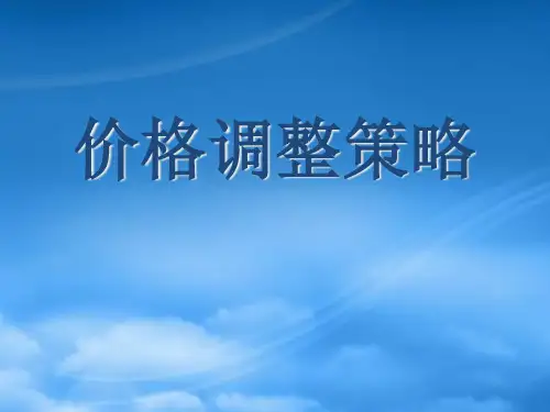 价格调整策略