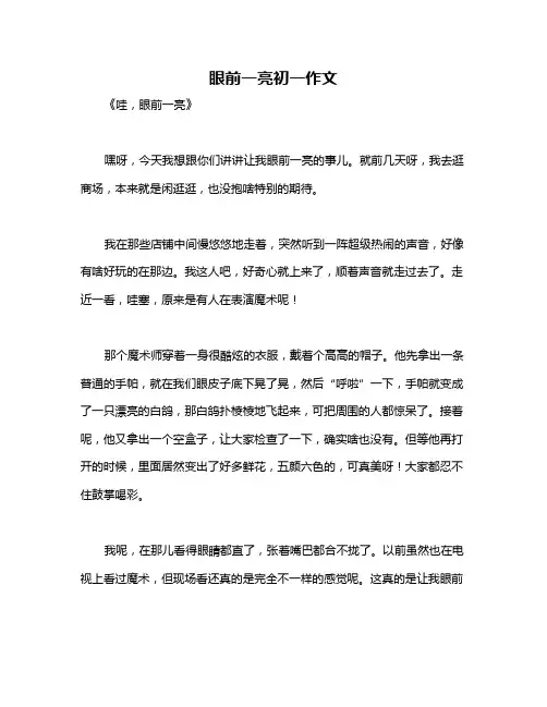 眼前一亮初一作文