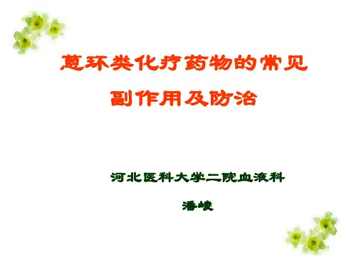 蒽环类药物基本知识