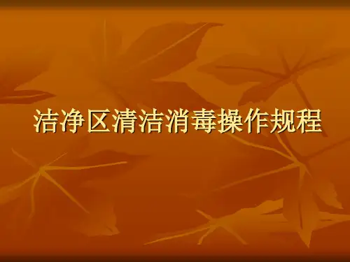 洁净区清洁消毒操作规程