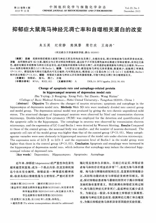 抑郁症大鼠海马神经元凋亡率和自噬相关蛋白的改变