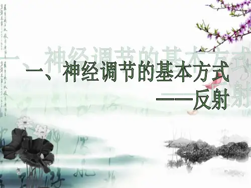 神经调节的基本方式——反射(2)初中生物课件