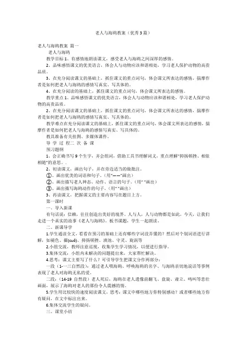 老人与海鸥教案(优秀3篇)
