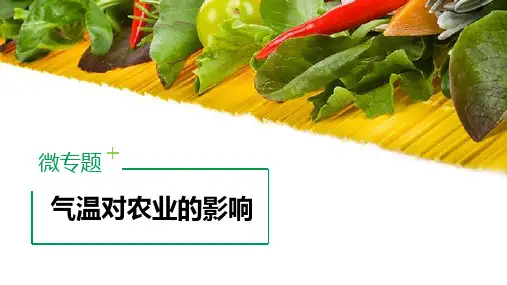 (公开课优质课件)高三地理二轮复习：气温对农业的影响 微专题