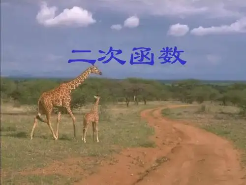 高三数学二次函数