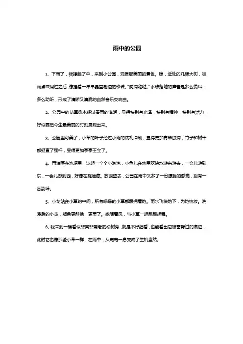 下雨天中的公园的句子适合发朋友圈