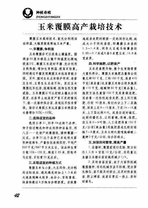 玉米覆膜高产栽培技术