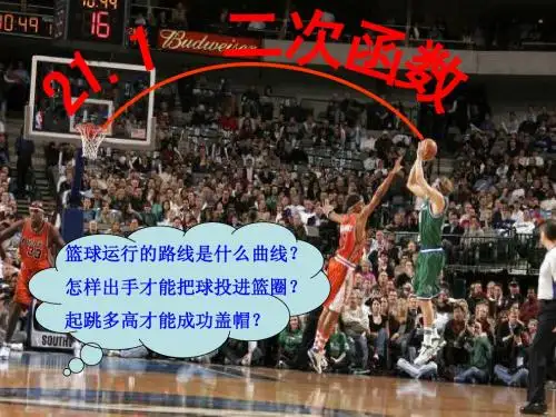 21.1二次函数(沪科版)