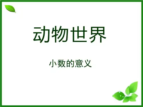 《动物世界》课件7