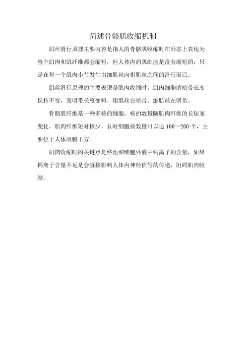简述骨骼肌收缩机制