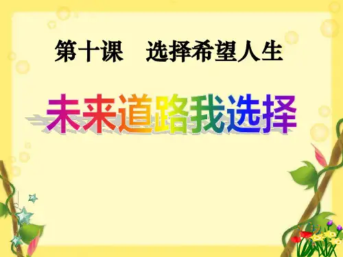 人教版九年级思想品德课件 未来道路我选择2