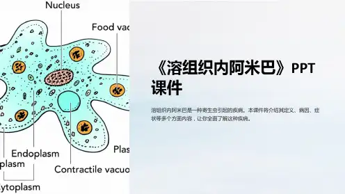 《溶组织内阿米巴》课件
