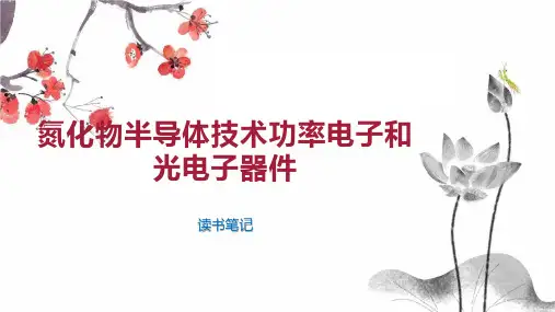 氮化物半导体技术功率电子和光电子器件