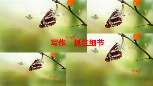 七年级语文写作：细节描写PPT课件