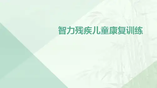 智力残疾儿童康复训练