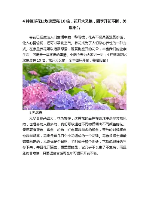 4种绣球花比玫瑰漂亮10倍，花开大又艳，四季开花不断，美爆阳台