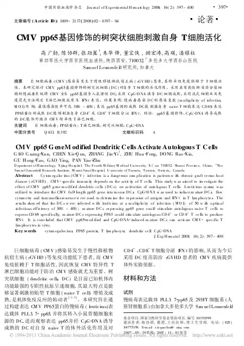 CMVpp65基因修饰的树突状细胞刺激自身T细胞活化