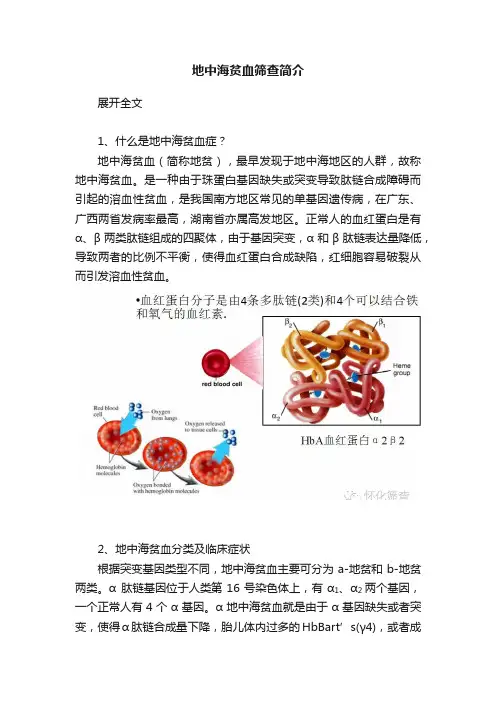 地中海贫血筛查简介