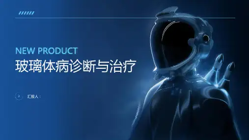 玻璃体病诊断与治疗PPT