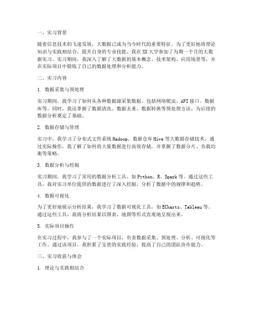大数据实习报告总结教师
