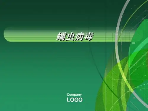 蠕虫病毒