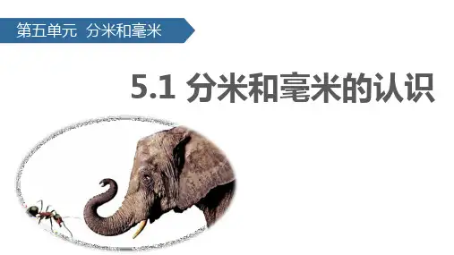 苏教版小学数学二年级下册课件：5.1分米和毫米的认识(共18张ppt)