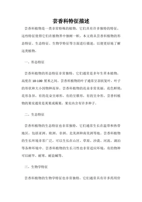 芸香科特征描述