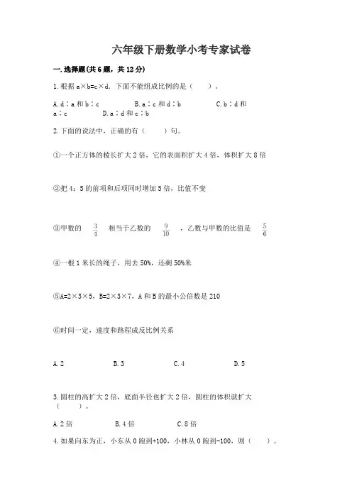 六年级下册数学小考专家试卷