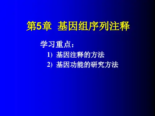 基因组注释ppt课件