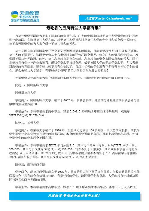 最吃香的五所荷兰大学都有谁？