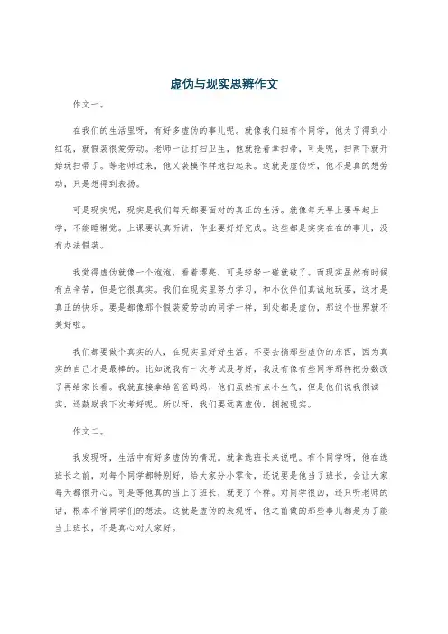 虚伪与现实思辨作文