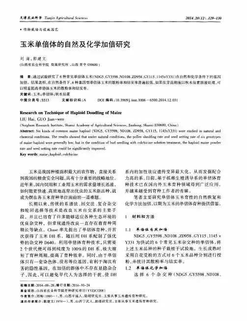 玉米单倍体的自然及化学加倍研究