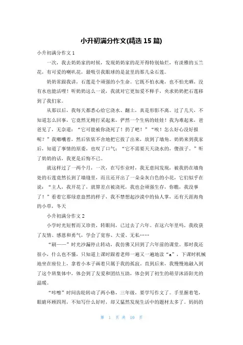 小升初满分作文(精选15篇)